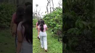 Coffee Plantation Coorg coorg vlog coffee coorgkarnataka coffeeplantation shorts shortsvideo [upl. by Korfonta]