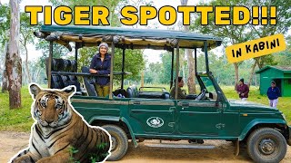 KABINI SAFARI  BEST TIGER SIGHTING  Kabini Resorts [upl. by Goines333]