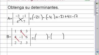 Determinante de una Matriz 2x2 y 3x3 [upl. by Nenerb]