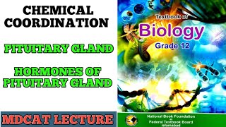 PITUITARY GLAND  CLASS 12 BIOLOGY  HORMONES OF PITUITARY GLAND  MDCAT LECTURE  DOCTORS STOP [upl. by Peters149]