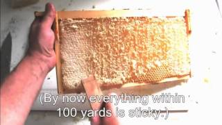 Three Simple Ways To Process Honey [upl. by Gnaig482]