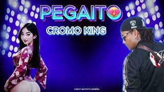 Pegaito de cola  Cromo king Lbproduce  dembow 2025 [upl. by Antonetta]