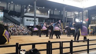 Elephant show live Recording Nong Nooch Village Pattaya Thailand Travel Vlog [upl. by Ailahtan]