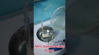 Mini Submersible pump at Home Bo Motor [upl. by Reffinej]