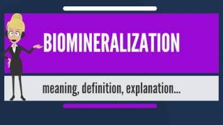 What is BIOMINERALIZATION What does BIOMINERALIZATION mean BIOMINERALIZATION meaning amp explanatio [upl. by Berglund167]