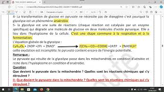 unité 1  chapitre 1 la glycolyse et le devenir de lacide pyruvique dans la mitochondrie [upl. by Jephum]