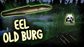 EEL TURNIR UPADAJTE   Russian Fishing 4 Live [upl. by Venu]