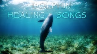 Deep Meditation Music and Enchanting dolphin songs for Relieving Stress and Anxiety [upl. by Jedlicka]