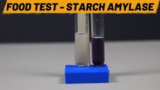 Food Test  Starch Amylase  ThinkTac [upl. by Naitirb]