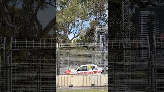 V8 SuperUtes at the Adelaide 500 [upl. by Zach]