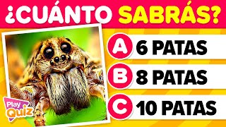 Preguntas que deberías Saber 🤓🧠📚  Nivel Fácil  Cultura General  PlayQuiz Trivia [upl. by Stevana]