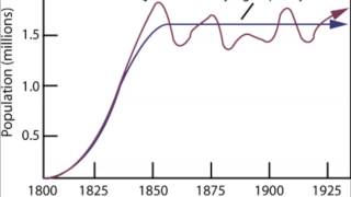 Population Dynamics Carrying Capacity and Limiting Factors [upl. by Bushweller]