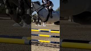 Show Jumping Paso Robles Saturday September 2024 SF OMG showjumping horse pasorobles [upl. by Lauer]