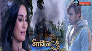 NAAGIN 317TH FEBRUARY 2019  Colors TV Serial  75TH Episode Full Story Details REVEALED [upl. by Derwon]