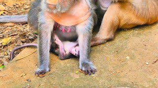 Cute Little baby expressing to play with team But her mother Barry rejects [upl. by Haletta]