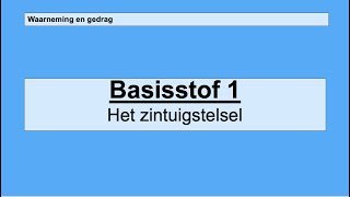 Havo 4  Zintuigen en gedrag  Basisstof 1 Het zintuigstelsel [upl. by Pulchi]