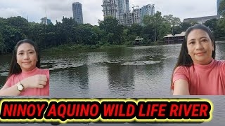 NINOY AQUINO WILD LIFE RIVER [upl. by Narmis]