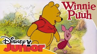 Freundschaftsgeschichten mit Winnie Puuh Beste Freunde  Disney Junior [upl. by Riamo]