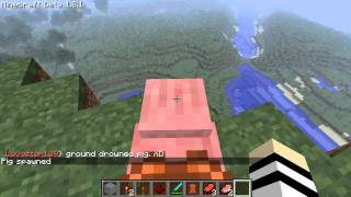 MineCraft When Pigs Fly Achievement [upl. by Dnomde518]