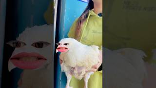 5 rs ke ande ke chakkar mai murgi ka figure 🐓🥚 razikaabaan itsrazika comedy abaanakhtar [upl. by Shantha18]