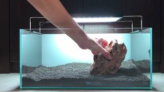 45F Iwagumi Aquascape Tutorial  Setup using dragon stones [upl. by Robson]