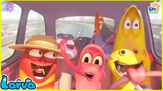 LARVA SEASON 3 EPISODE 145  246  BEST CARTOONS 2024  COMICS  HILARIOUS CARTOON COMPILATION [upl. by Matta235]