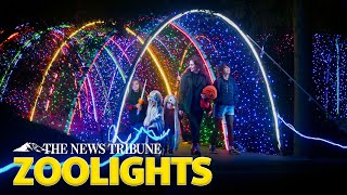 Zoolights 2023 Ready to Put on a Show [upl. by Herod]