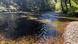 TOP 3 COUNTDOWN OF quotBEST ONEPARTY CAMPSITESquot  Moss Creek Campground  Gifford Pinchot  4K [upl. by Aicatsan616]