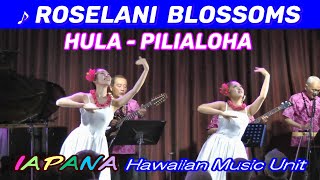 Loselani Blossoms Hula  Pilialoha  演奏  IAPANA [upl. by Siraj]