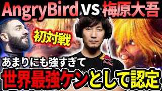 Daigo plays AngryBird for the first time quotThis is the strongest Kenquot【Daigo Umehara】【clip】 [upl. by Ahsiniuq]