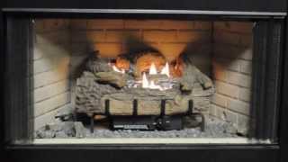 Everwarm Palmetto Oak Vent Free Gas Logs Burning Display [upl. by Akem]