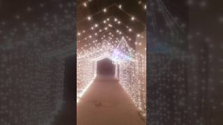 Pakistan wedding lighting decorating shorts lighting newsong lionweddinghighlight lovestatus [upl. by Natanoj]