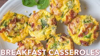 Easy Breakfast Egg Muffins Recipe  Natashas Kitchen [upl. by Faustina]