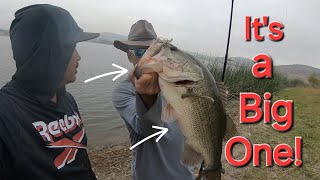 San Diego Power Bfs Bass fishing Sweetwater Reservoir  Fall Season Its a Big One [upl. by Intruoc]