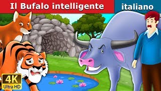 Il Bufalo intelligente  Intelligent Buffalo in Italian  Fiabe Italiane ItalianFairyTales [upl. by Aiket]