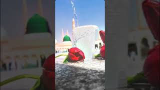 Woh Mera Nabi Hai viral trending viral trending viral trending viral trending viral madina [upl. by Mcallister450]