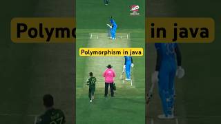 Polymorphism in java polymorphism javadeveloper coding viratkohli indiancricketteam cricket [upl. by Buyer368]