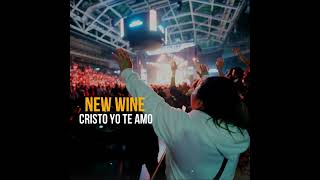 NEW WINE  Cristo yo te amo 😭😭 Hermosa Adoración [upl. by Aikrahs]