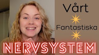 Vårt fantastiska nervsystem [upl. by Ynahpets]