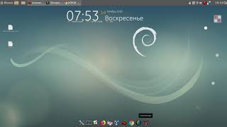 Debian 95 Cinnamon 64bit RUS установка программ [upl. by Pellegrini]