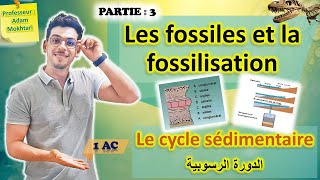 Les fossiles et la fossilisation Partie 3  Le cycle sédimentaire الدورة الرسوبية [upl. by Neva121]