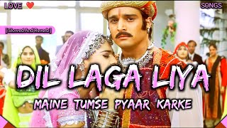 Dil Laga Liya Maine Tumse Pyaar Karke  Slowed And Reverb  Lofi Songs Danish [upl. by Myrah]