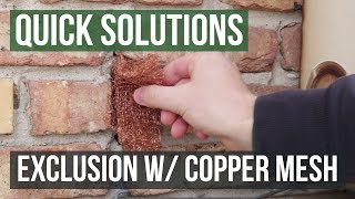 Quick Solutions How to Use StufFit Copper Mesh to Exclude Rats amp Mice [upl. by Cosma]