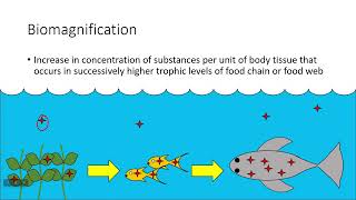 88 Bioaccumulation amp Biomagnification [upl. by Tracay889]