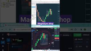 99 Accuracy Magnus Pro v21 for Binary Options [upl. by Yenttirb]