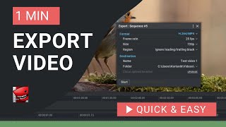 Lightworks Tutorial How to Export Video in Lightworks [upl. by Dleifyar568]