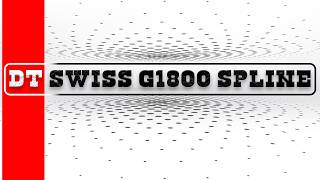 DTSWISS G1800 SPLINEIs this the best Low Budget bike wheel [upl. by Aserehtairam]