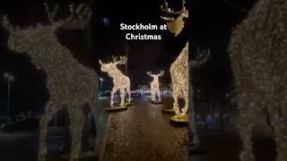 Stockholm at Christmas sweden [upl. by Irod68]