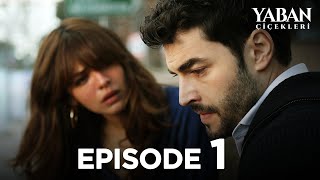 Yaban Çiçekleri  Episode 1 Subtitled in English YabanCicekleriEnglish [upl. by Deborah]