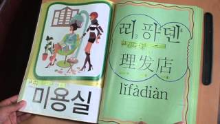 WONs MeRhy Style Chinese  WORDS 정원수운율법 중국어  단어 공부1 [upl. by Ayamahs]